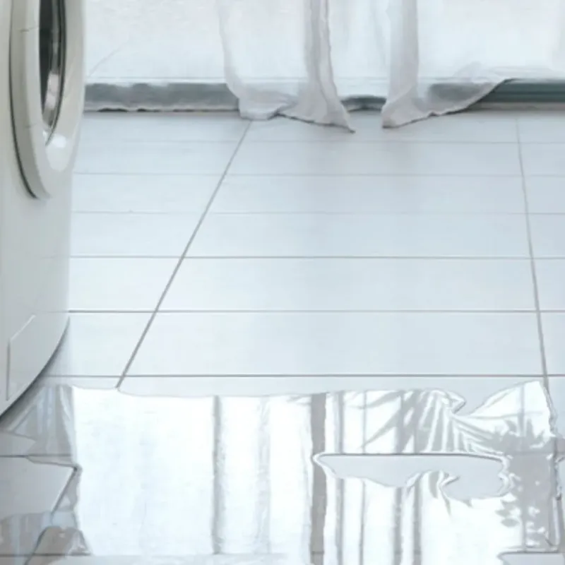 Appliance Leak Cleanup in Francis, UT