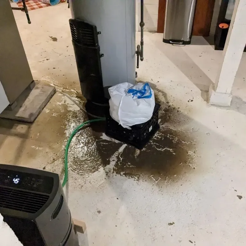 Sewage Backup Cleanup Service in Francis, UT